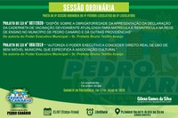 PAUTA DA 09ª SESSÃO ORDINÁRIA DO 4º PERÍODO LEGISLATIVO DA 9ª LEGISLATURA